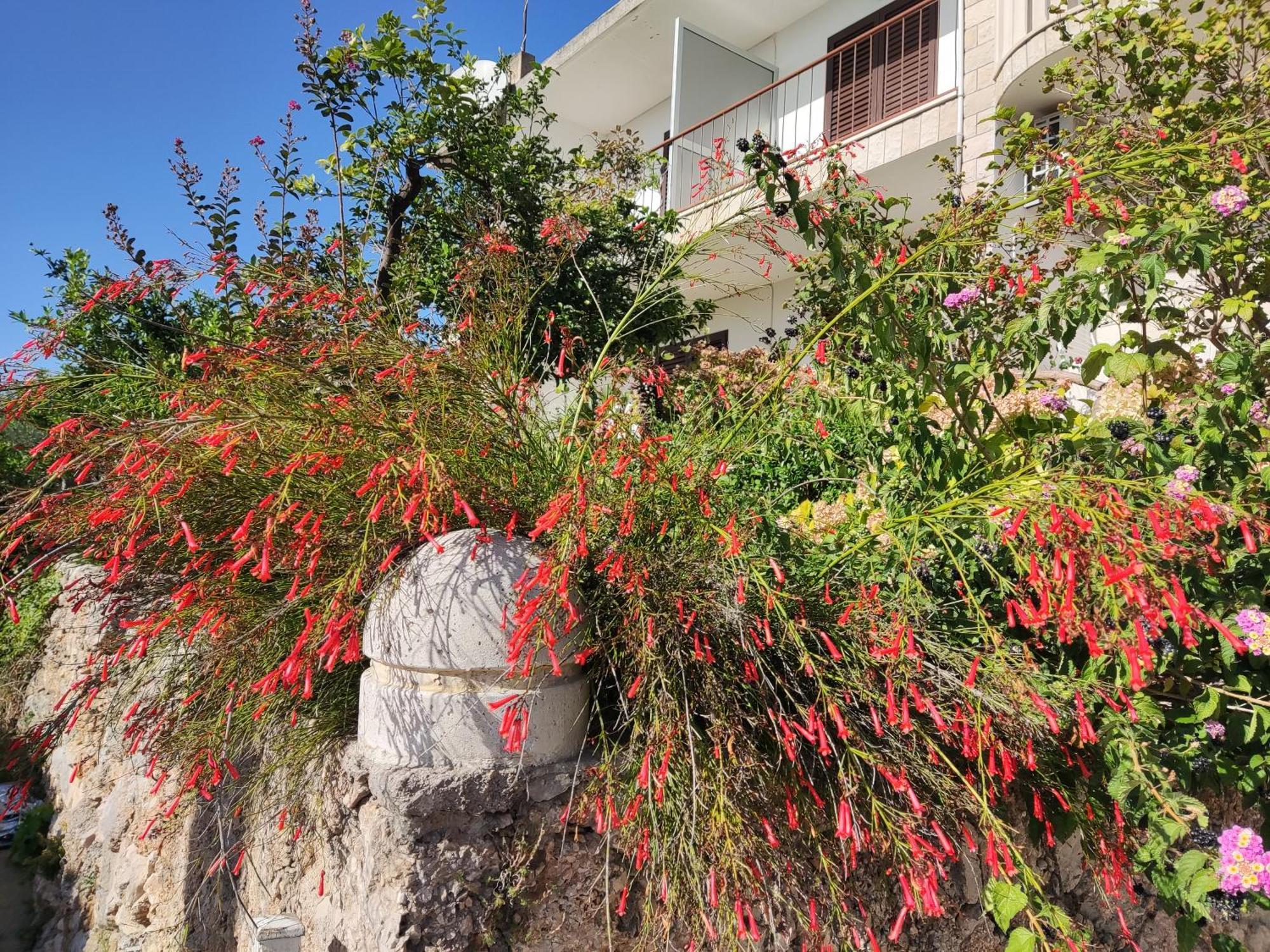 Apartments Mare Brela Exterior photo